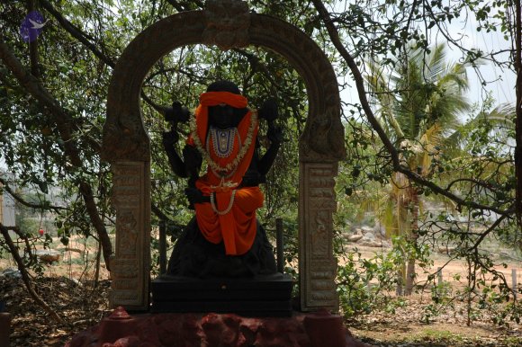 20070504_Photo_1015_DSC_4911_CMP_WM