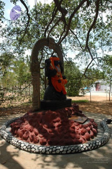 20070504_Photo_1032_DSC_4930_CMP_WM