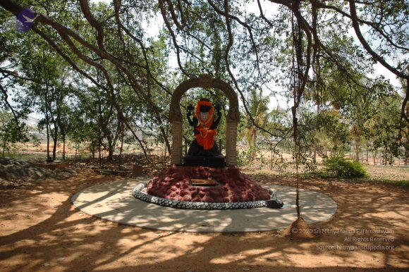 20070504_Photo_1050_DSC_4902_CMP_WM