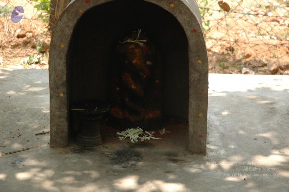 20070504_Photo_1052_DSC_5034_CMP_WM