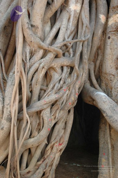 20070504_Photo_1085_DSC_5001_CMP_WM