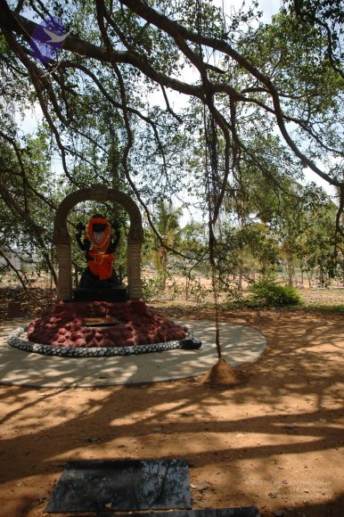 20070504_Photo_1090_DSC_4896_CMP_WM