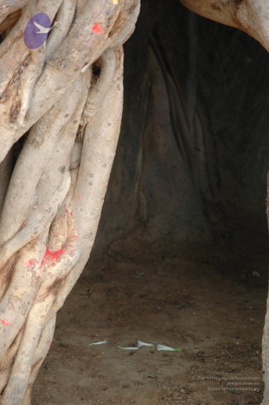 20070504_Photo_1093_DSC_5015_CMP_WM