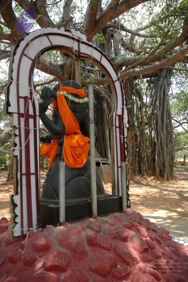 20070504_Photo_1096_DSC_4953_CMP_WM