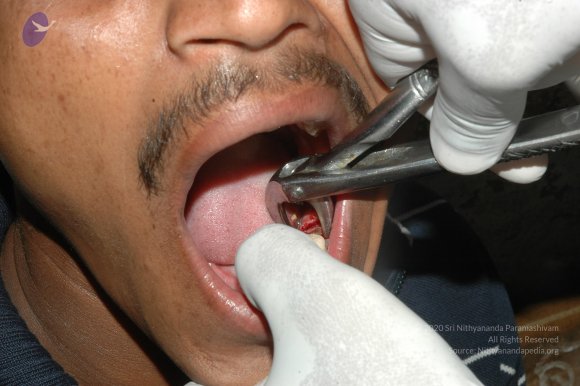 20070504_Photo_1011_DSC_5245_CMP_WM