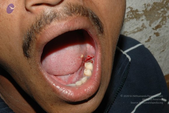 20070504_Photo_1050_DSC_5246_CMP_WM