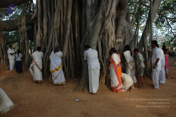 20070504_Photo_1044_DSC_5176_CMP_WM