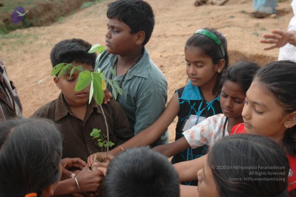 20070504_Photo_1016_DSC_5322_CMP_WM