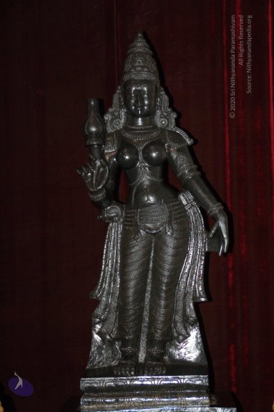 DeviPrathista15Nov2007 014_CMP_WM