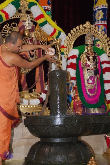 DeviPrathista15Nov2007 165_CMP_WM