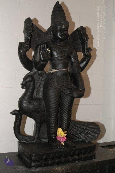 LANewAshramPrepNov2007 566_CMP_WM