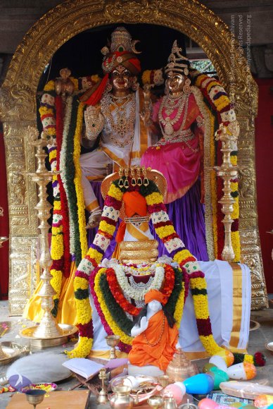 20081224_Photo_1013_DSC_0154_CMP_WM