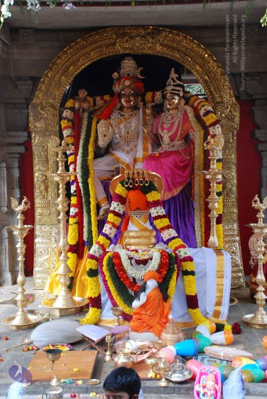 20081224_Photo_1014_DSC_0155_CMP_WM