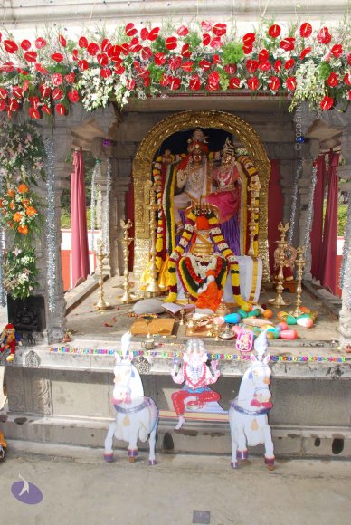 20081224_Photo_1018_DSC_0171_CMP_WM