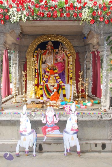 20081224_Photo_1019_DSC_0175_CMP_WM