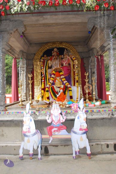 20081224_Photo_1022_DSC_0182_CMP_WM