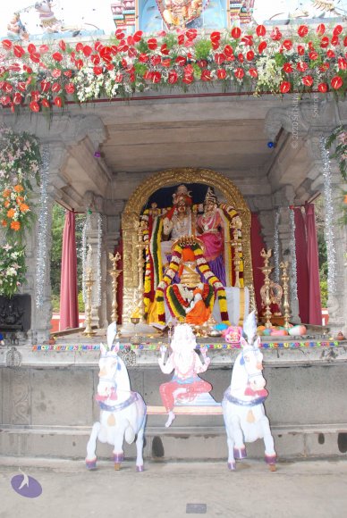 20081224_Photo_1031_DSC_0207_CMP_WM(1)