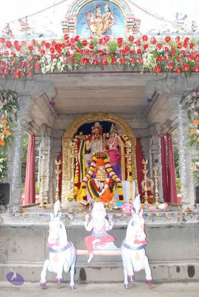 20081224_Photo_1033_DSC_0209_CMP_WM(1)