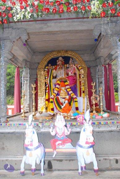 20081224_Photo_1039_DSC_0213_CMP_WM(2)