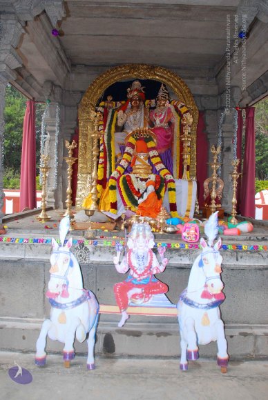 20081224_Photo_1041_DSC_0214_CMP_WM