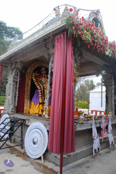 20081224_Photo_1056_DSC_0296_CMP_WM