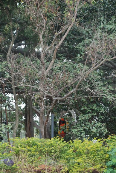 20081224_Photo_1058_DSC_0318_CMP_WM