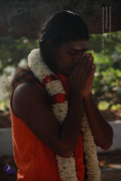 20081225_Photo_1027_DSC_0169_CMP_WM