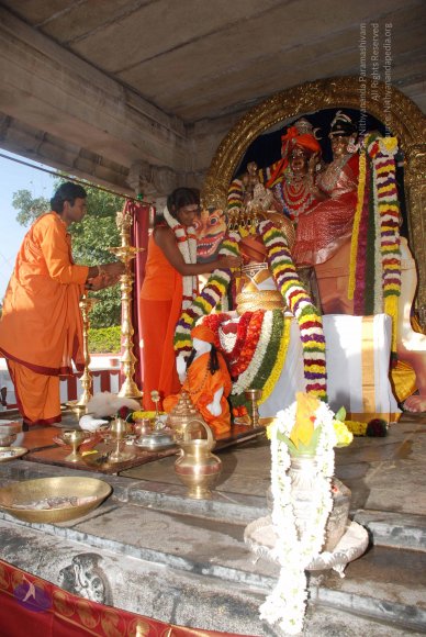 20081225_Photo_1031_DSC_0188_CMP_WM