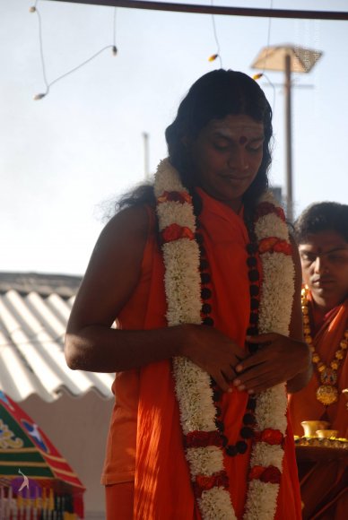 20081225_Photo_1052_DSC_0233_CMP_WM