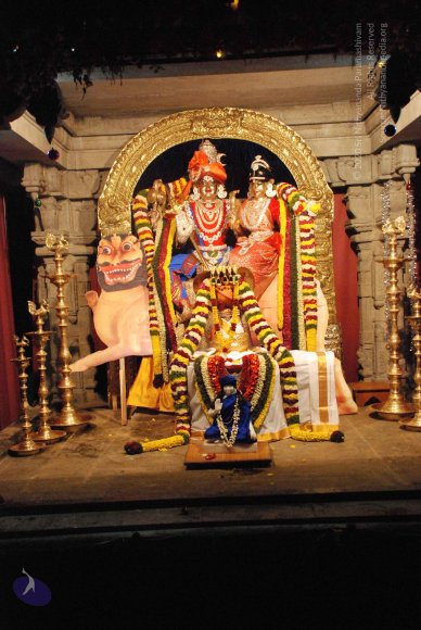 20081225_Photo_1100_DSC_0612_CMP_WM