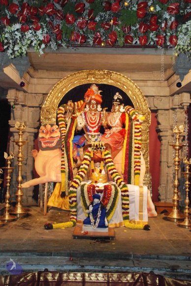 20081225_Photo_1101_DSC_0613_CMP_WM