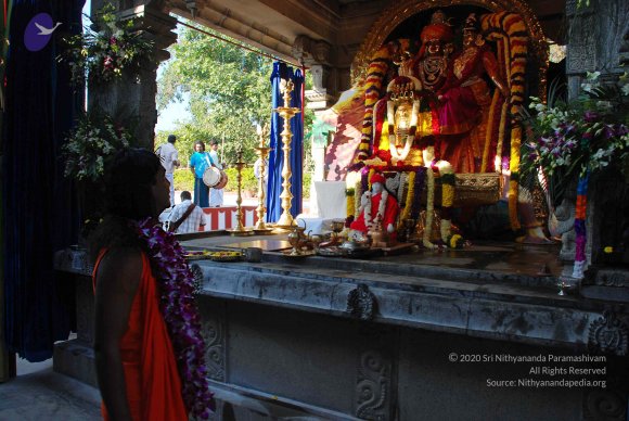 20081231_Photo_1062_DSC_0209_CMP_WM