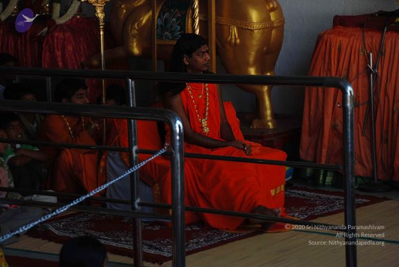 20081231_Photo_1066_DSC_0465_CMP_WM