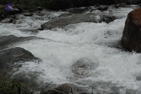 DSC_0173_CMP_WM