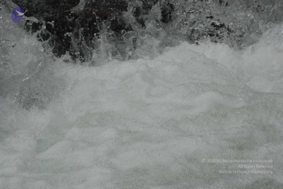 DSC_0192_CMP_WM