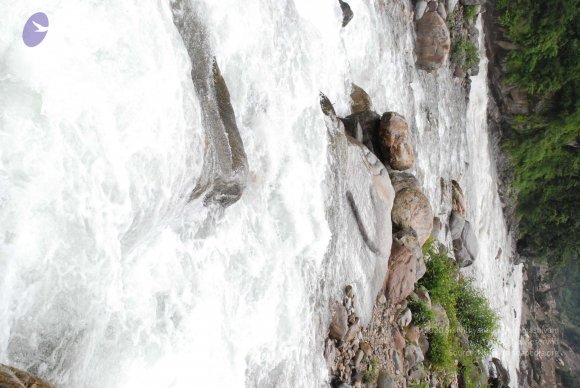 DSC_0213_CMP_WM