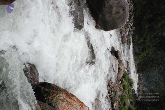 DSC_0214_CMP_WM