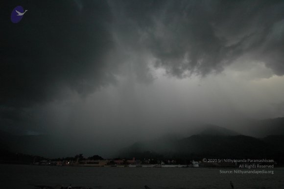 DSC_7696_CMP_WM