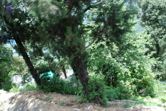 DSC_0226_CMP_WM