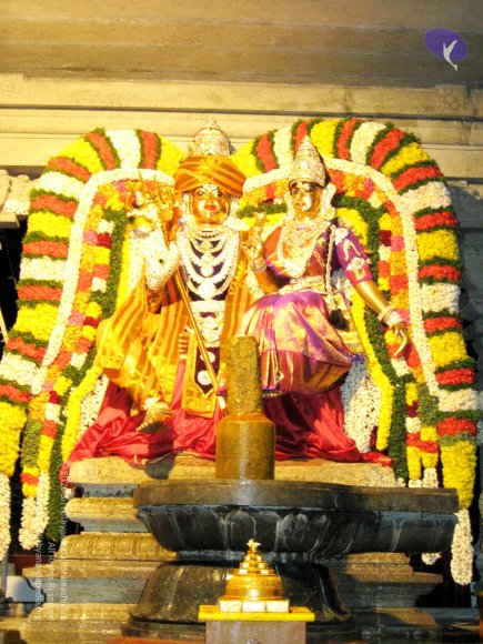 20080101_Photo_1000_IMG_0795_CMP_WM