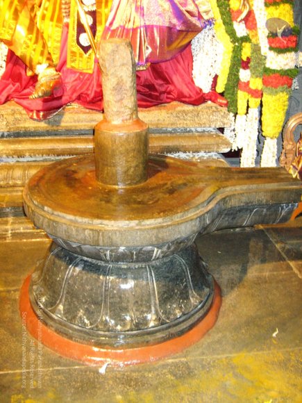 20080101_Photo_1002_IMG_0822_CMP_WM