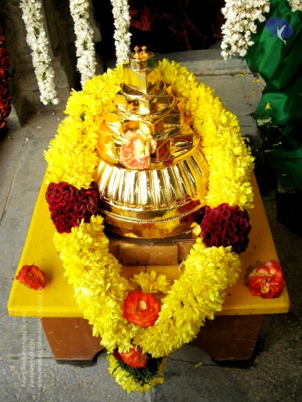 20080101_Photo_1020_IMG_0870_CMP_WM