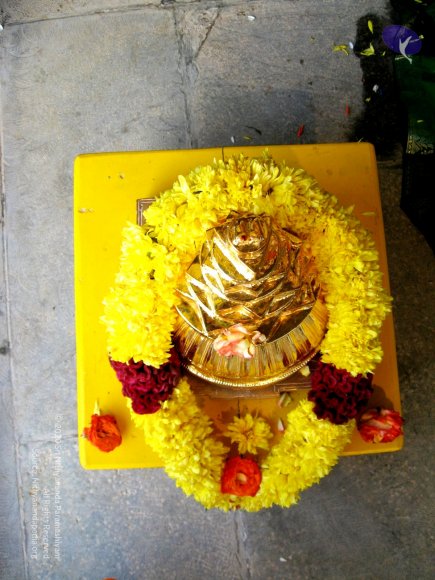 20080101_Photo_1021_IMG_0871_CMP_WM