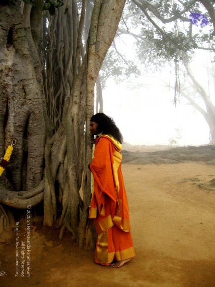 20080101_Photo_1034_IMG_0955_CMP_WM