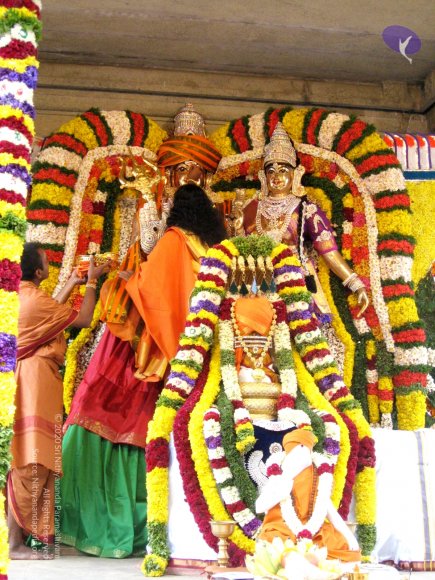 20080101_Photo_1038_IMG_0981_CMP_WM