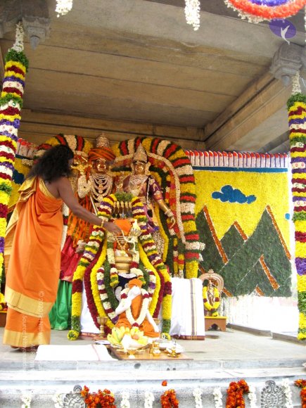 20080101_Photo_1041_IMG_0990_CMP_WM