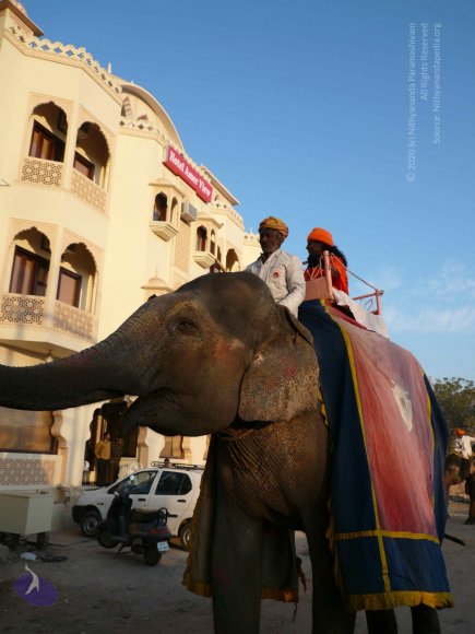 1-Himalaya-Yatra_Photo_1000_P1090083_CMP_WM