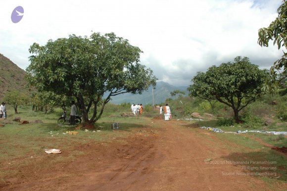 20081113_Photo_1004_DSC_7881_CMP_WM