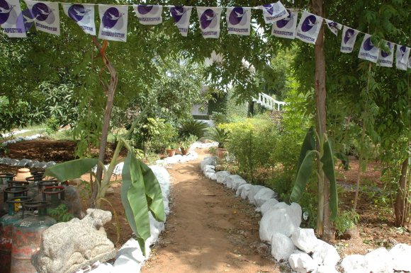 20081113_Photo_1017_DSC_7938_CMP_WM