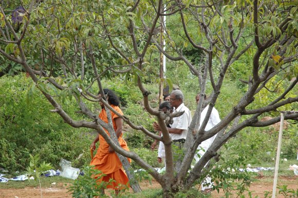 20081113_Photo_1024_DSC_7871_CMP_WM